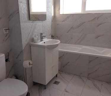 Craiova Apartment | Romanescu Parc Apartment