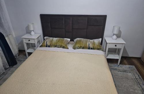 Craiova Apartment | Romanescu Park Studio