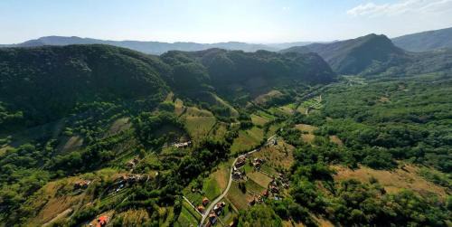 Buces Other | Romantic yurt in Apuseni mountains