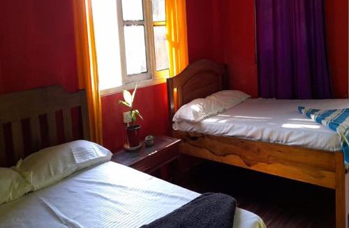 Kumai House | Rongo Yalakhom Riverside Homestay
