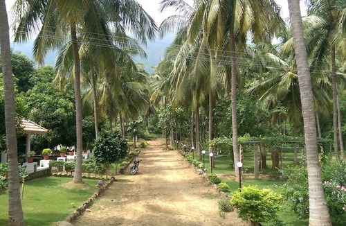 Chittur House | Room in Farmhouse - Mango Village Farm House with Natural Pool