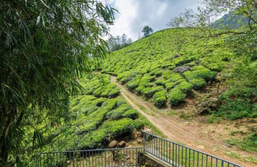 Chithirapuram House | Royal Mist Villa- Homestay
