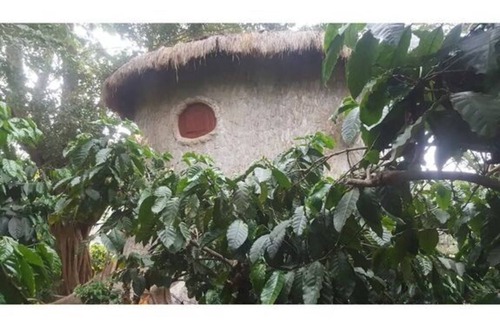 Kaimane House | Rustic Charm Wayanad - The Roots (Treetop Suite)
