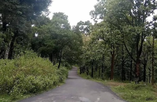 Kaimane House | Rustic Charm Wayanad - Tranquil times (Capsule)