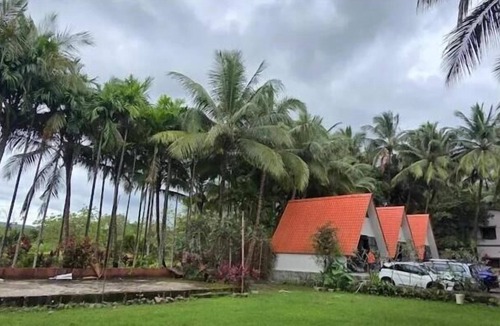 Alibaug Resort | Rustic Palms - Restaurant & Cabins