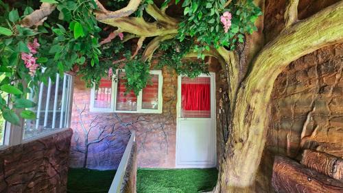 Munnar House | S & B Dreams House