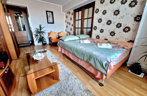 Sighisoara Apartment | Sabina Apartment