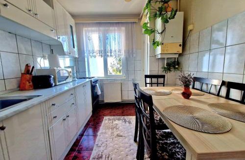 Sighisoara Apartment | Sabina Apartment