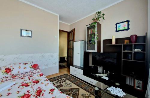 Sighisoara Apartment | Sabina Apartment