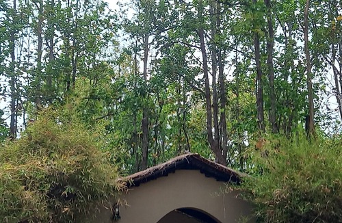 Mukki Hotel | Saccharum Safari Lodge