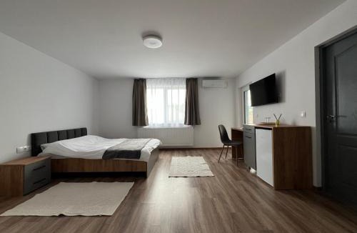 Ocna Mures Hotel | Salin Home