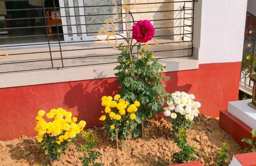 Ilam Bazar Hotel | Sandhyatara