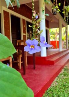 Mararikulam House | Sandra Martha Villa
