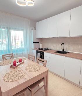 Piatra Neamt Apartment | Scandinavia Apartment 1