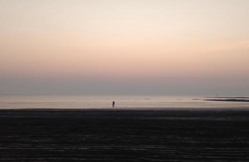 Alibaug House | Seaswan resort