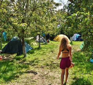 Bontida Other | Secret Garden Camping