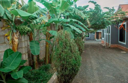 Rungwe Apartment | Selous