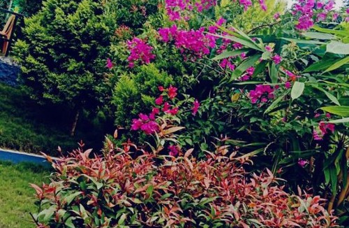 Shenkottai Hotel | Serene Blossom Valley
