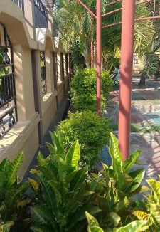 Mugumu Hotel | Serengeti Elegance Hotel