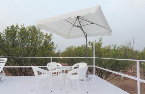Karanja Other | Shaya Farms Luxury Dome Stay