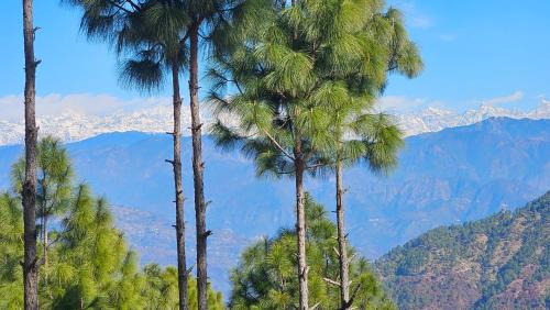 Sirala Resort | Shiv Forest Villas