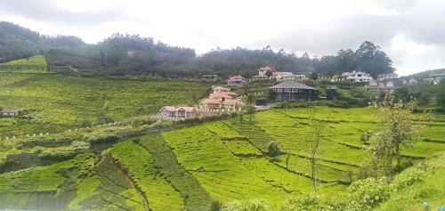 Ooty Villa | Sil misty villa