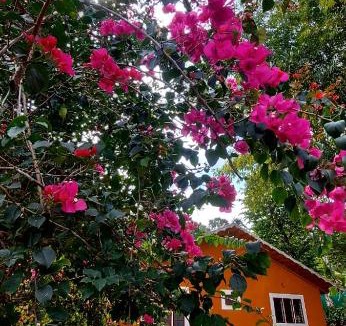Kidanganad House | Silver dale home stay