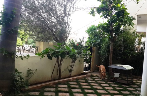 Udaipur Villa | SINGHI VILLA GUEST HOUSE