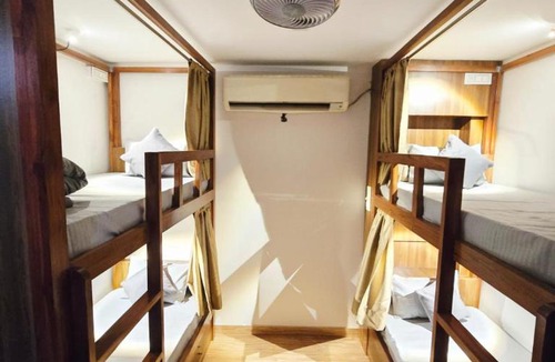 East of Kailash House | SLepYY FoX - Backpacker Hostel in Greater Kailash
