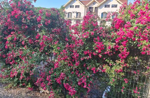 Sinmartin House | Sofial Guesthouse