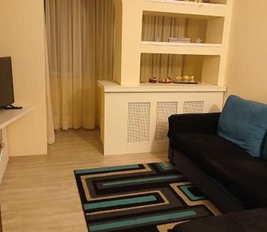 Craiova Apartment | Sonia's Central Appartment