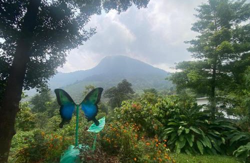 Talipparamba House | Soul Mountain