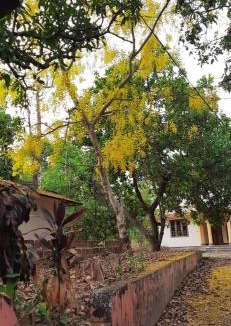 Talipparamba House | Souparnika Homestay