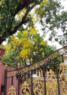 Talipparamba House | Souparnika Homestay