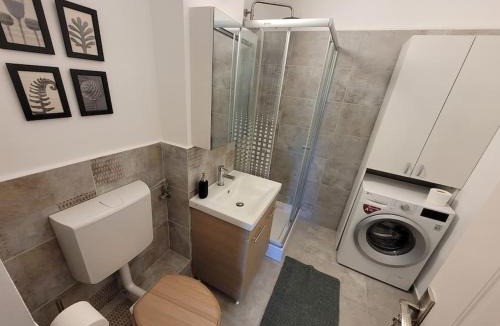 Sfantu Gheorghe Apartment | Spacious & Fresh Apartment