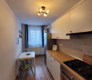 Sfantu Gheorghe Apartment | Spacious & Fresh Apartment