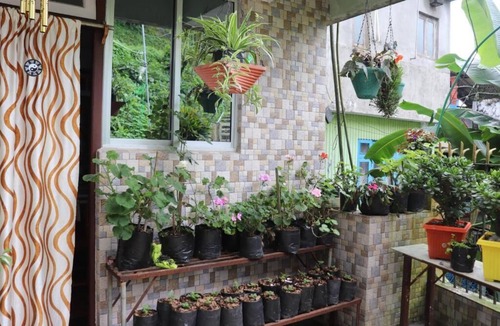 Darjeeling Apartment | Sparrow Nest Homestay: Where Comfort Takes Flight and Hospitality Sings