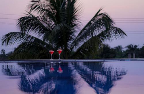 Mandrem Hotel | SPARV Aulakhs Resort