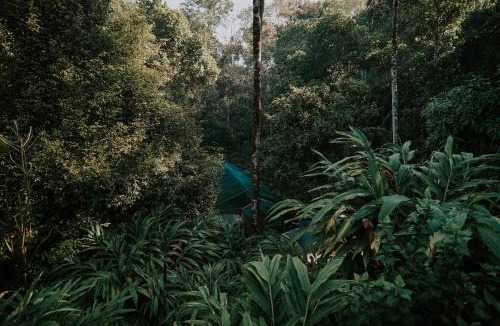 Udumbanchola House | Spice Legoon Munnar