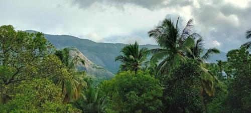 Muthalamada House | Sradha Farm Stay - Kollengode