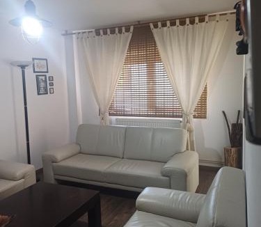 Ramnicu Valcea Apartment | SsaZza