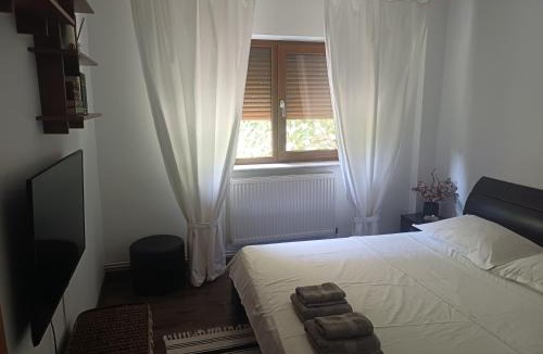 Ramnicu Valcea Apartment | SsaZza