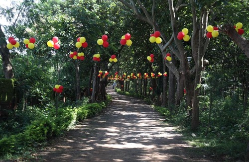 Taptapani Resort | STARLING FOREST RESORT