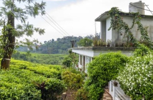 Chithirapuram Bed & Breakfast | Starlit holidays homes Chithirapuram near Munnar