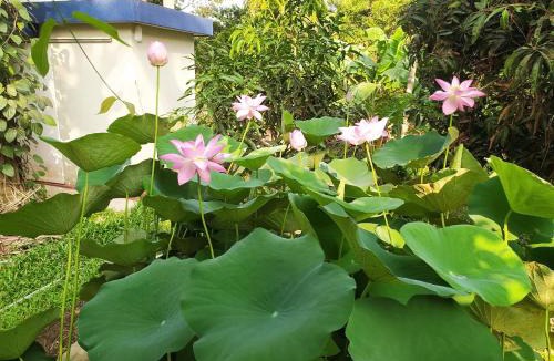 Mangalore Villa | StayCool Homestay near Airport