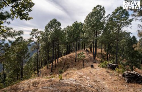 Lansdowne Hotel | StayVista at Hill Top Heaven with BBQ & Bonfire