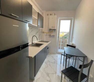 Ciurea Apartment | Stejarilor Apartment