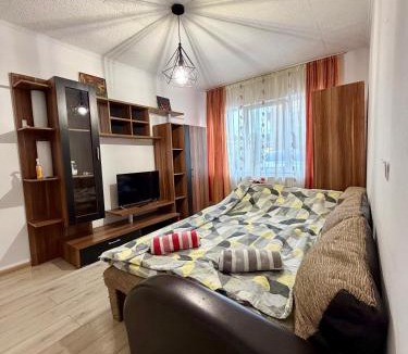 Floresti Apartment | Stejarului App