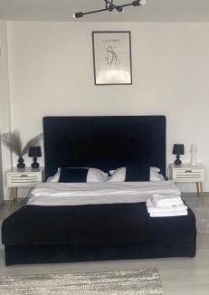 Fagaras Apartment | Studio ANA