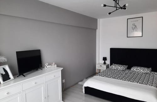 Fagaras Apartment | Studio ANA